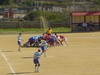thumb_dsc06019.jpg